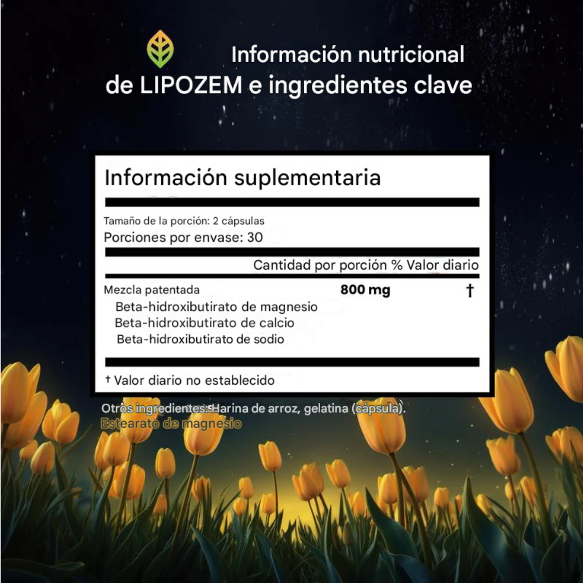 Cápsulas LipoCore® Lipozem