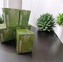 ITSUKI KENKO PARCHES DETOX